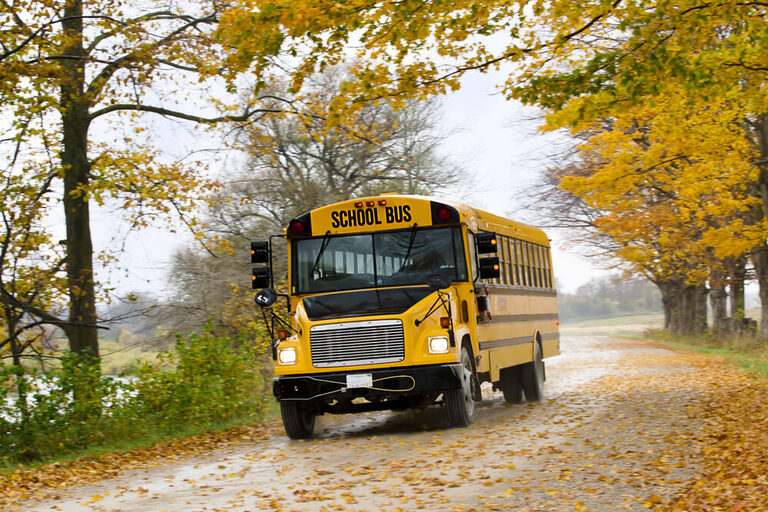 Image of school bus on the road with autumn trees and dried leaves