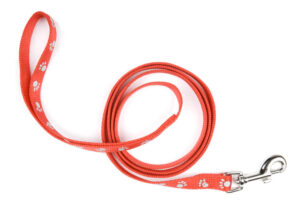 Red nylon dog lead or leash with paw print pattern on a white background
