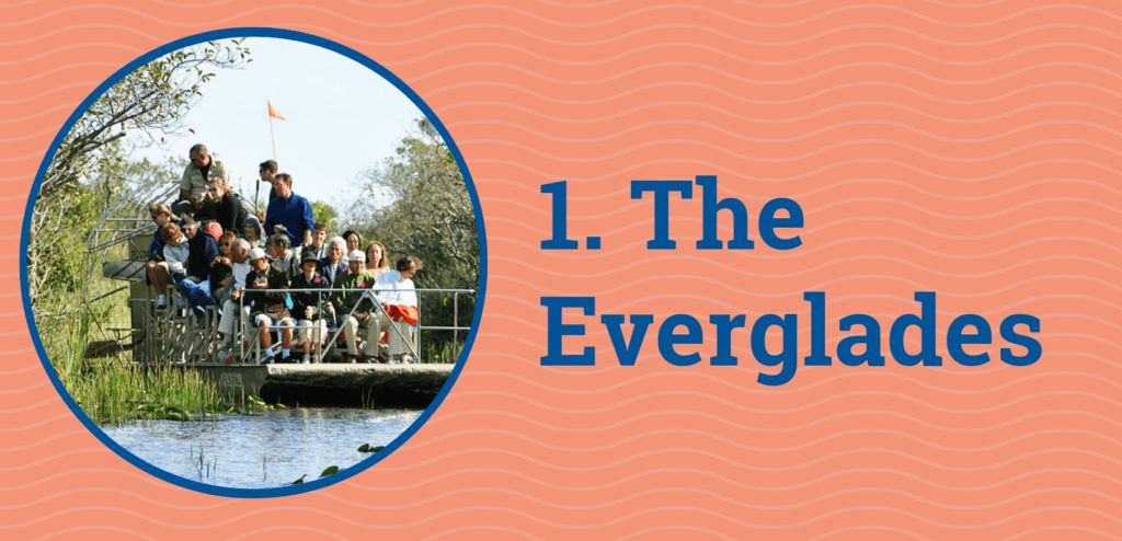 1. The Everglades