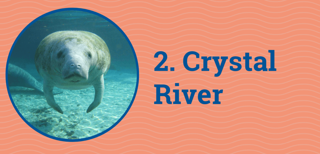 2. Crystal River